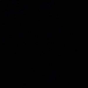 Meet your Posher, Daryl